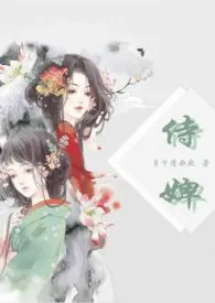 侍婢(剧情向H文）