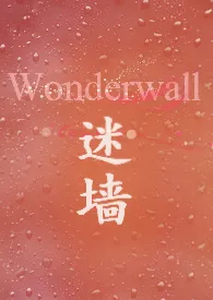 迷墙Wonderwall