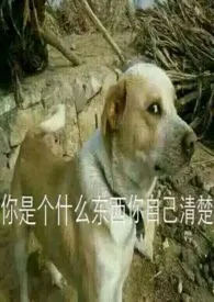 像云朵呀