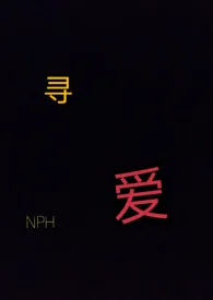 寻爱（H）