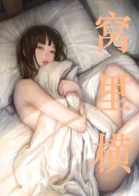 窝里横（np）