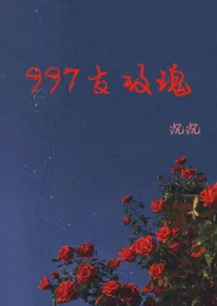 997支玫瑰