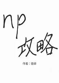 np攻略