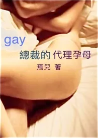 gay总裁的代理孕母（高H)简、繁