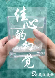 佳心的幻觉