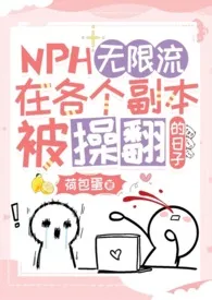 无限流：在各个副本被操翻的日子（NPH）